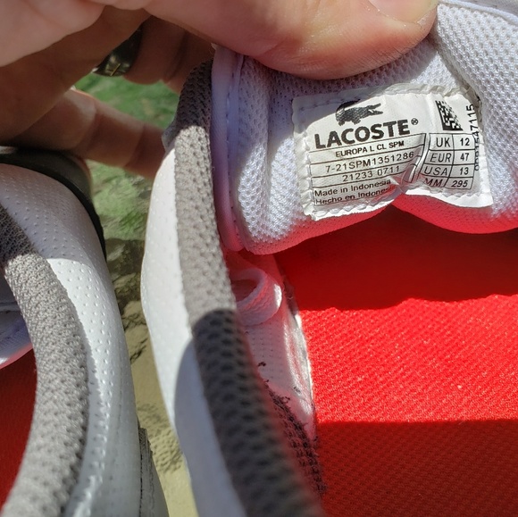 Lacoste Europa sneakers - Picture 4 of 7
